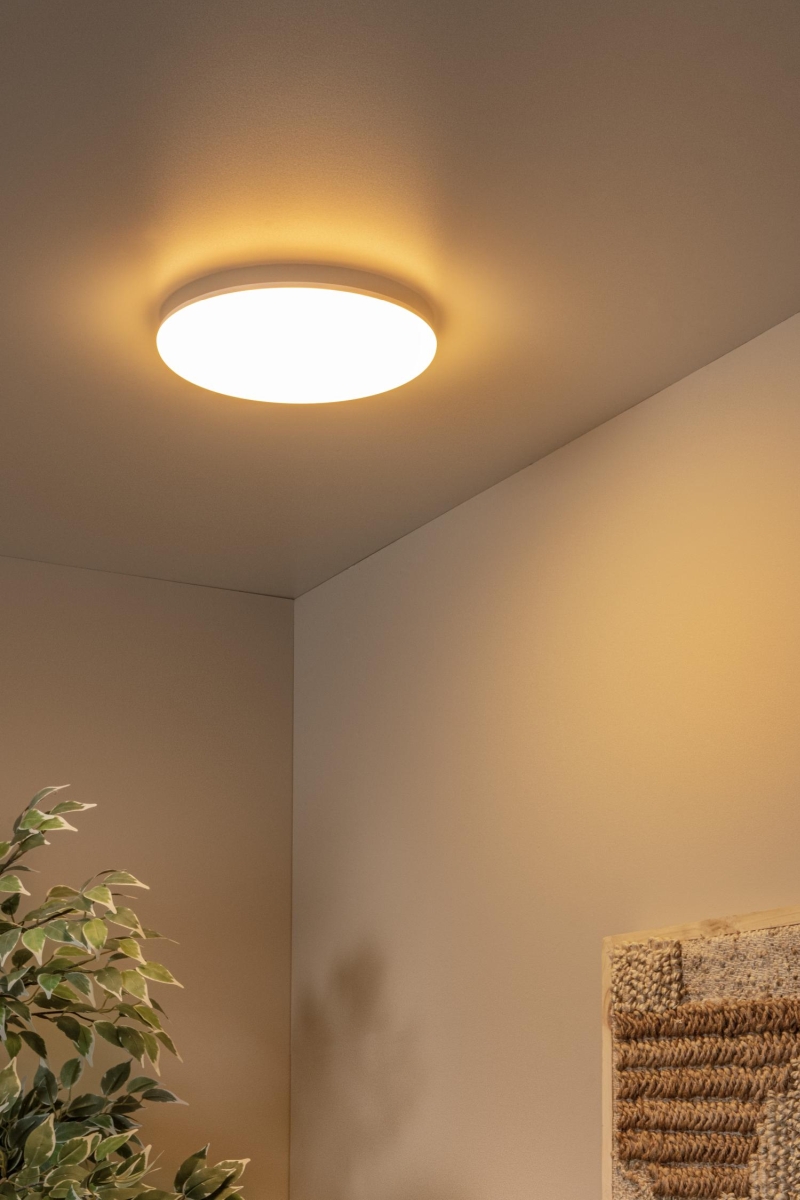 Lucide OLSON - Flush ceiling light Bathroom - Ø 29 cm - LED - CCT - 1x24W 3000K/6500K - IP44 - Opal